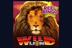 wild lion with reel bingo